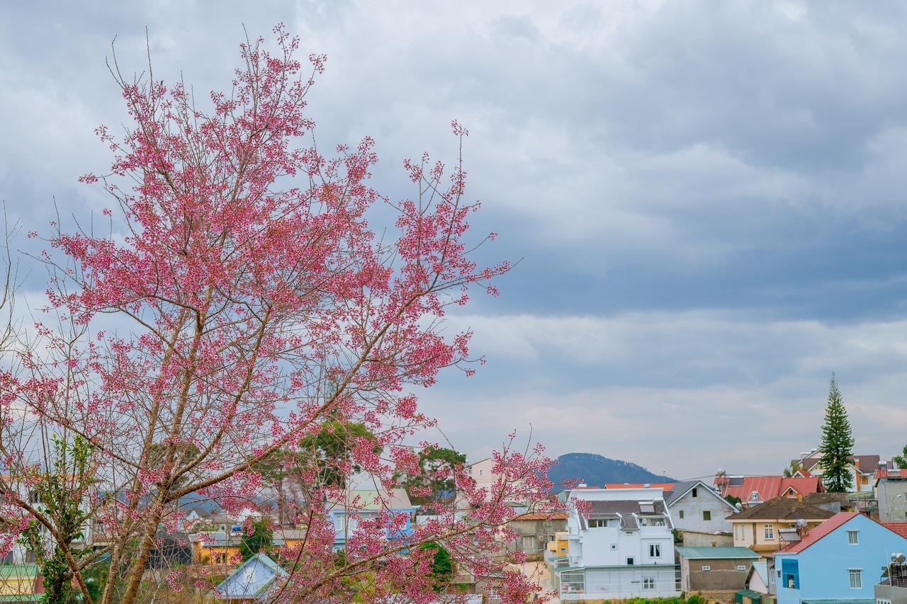 Ruby House Appartement Da Lat Buitenkant foto